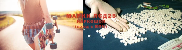 спиды Иннополис