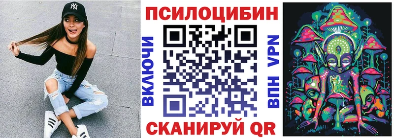 Купить закладки  Духовщина  Псилоцибиновые грибы Psilocybe 